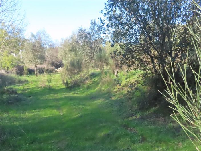 Image No.6-Property for sale