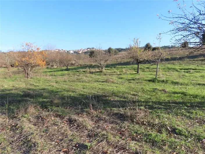 Image No.11-Property for sale