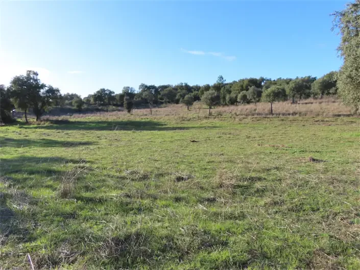 Image No.16-Property for sale