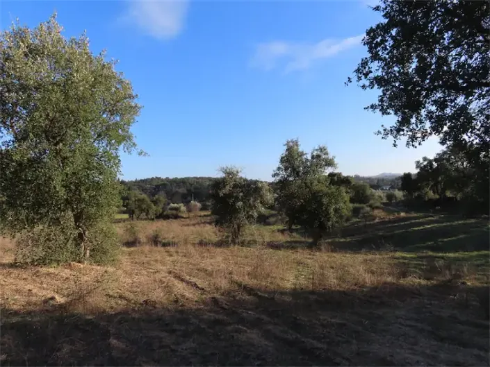 Image No.20-Property for sale