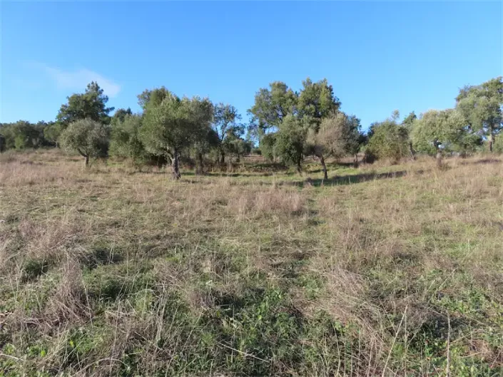 Image No.21-Property for sale