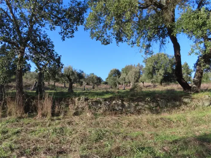 Image No.23-Property for sale