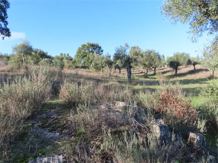 Image No.25-Property for sale