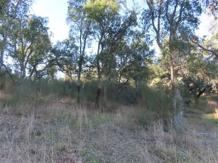 Image No.26-Property for sale