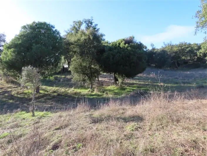 Image No.27-Property for sale