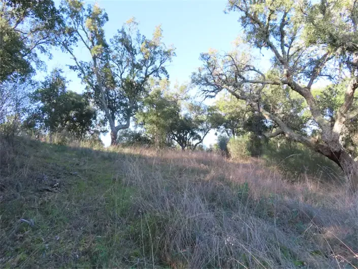 Image No.28-Property for sale