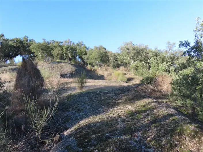 Image No.30-Property for sale