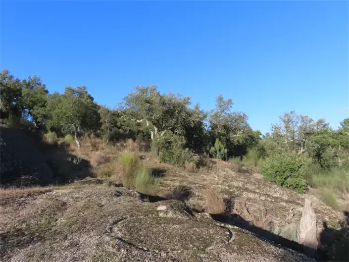 Image No.31-Property for sale