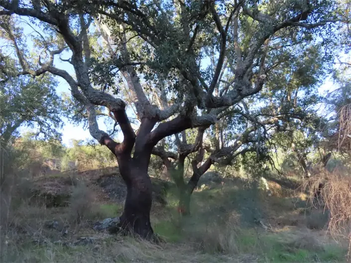 Image No.32-Property for sale