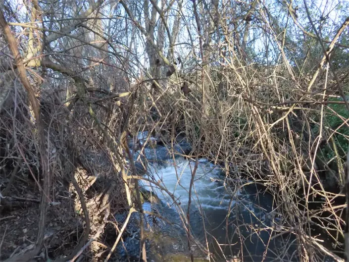 Image No.35-Property for sale