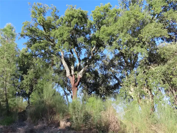 Image No.8-Property for sale