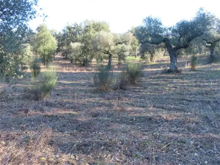 Image No.9-Property for sale