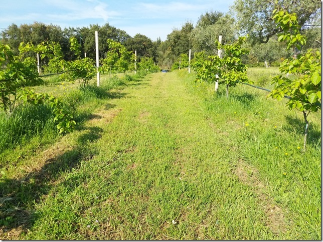 Image No.10-Property for sale