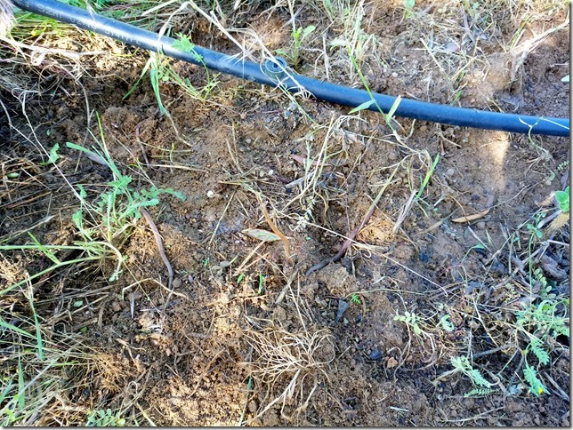 Image No.14-Property for sale