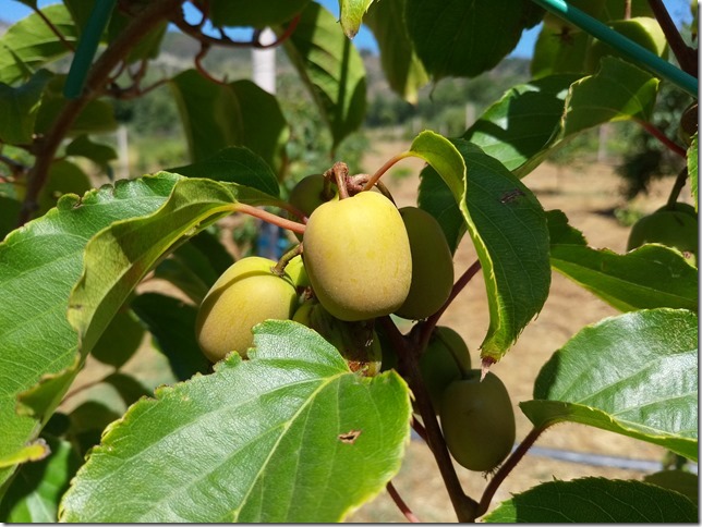 Image No.15-Property for sale