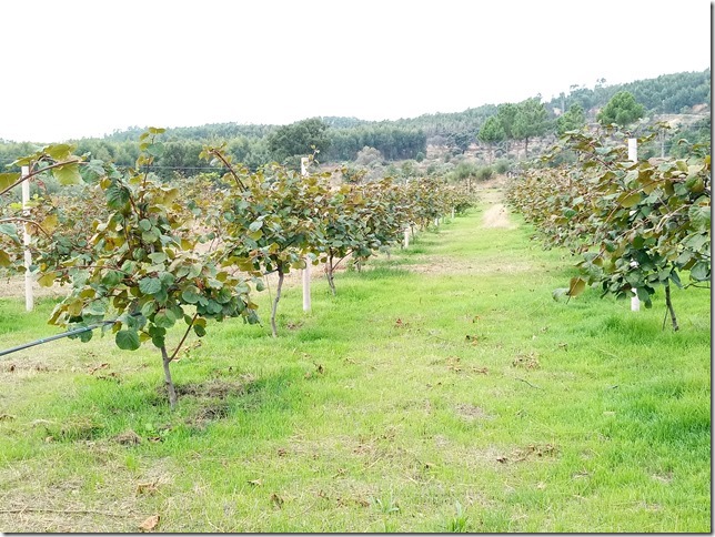 Image No.19-Property for sale