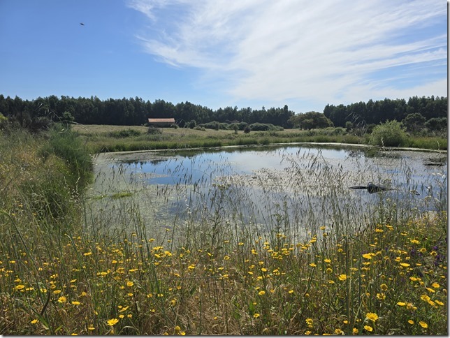 Image No.26-Property for sale