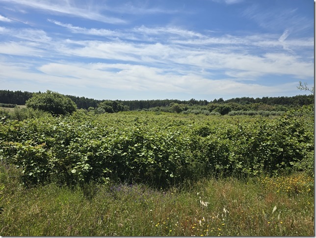 Image No.27-Property for sale