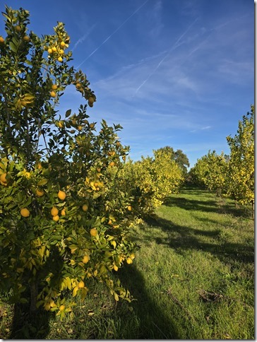 Image No.30-Property for sale