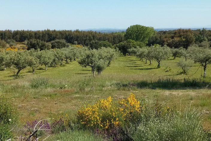 Image No.32-Property for sale