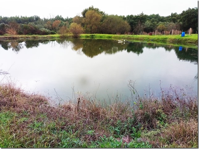 Image No.33-Property for sale