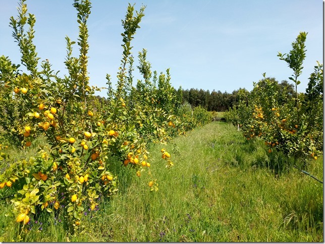 Image No.38-Property for sale