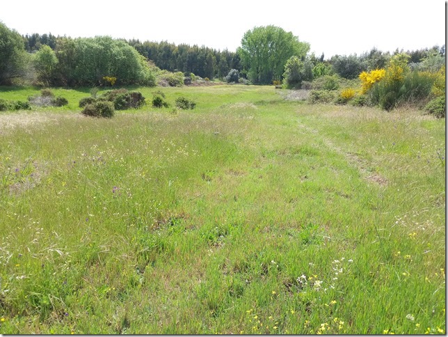 Image No.7-Property for sale