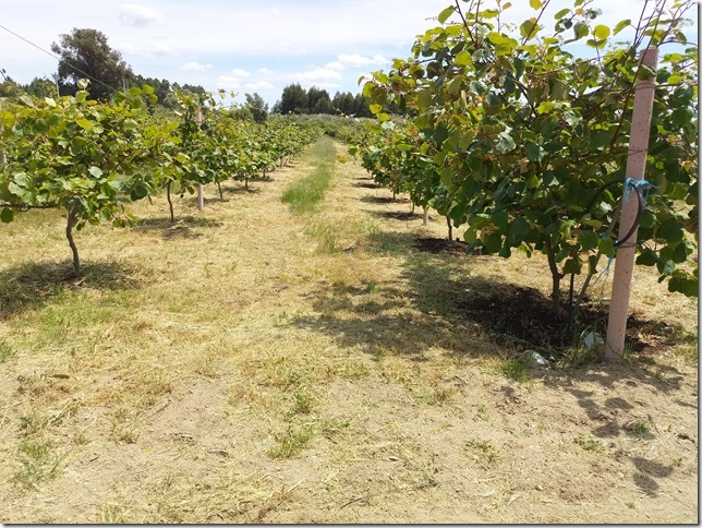 Image No.8-Property for sale