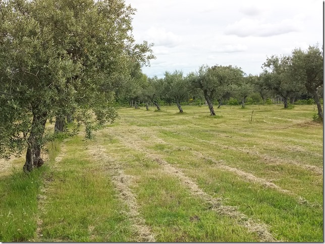 Image No.9-Property for sale