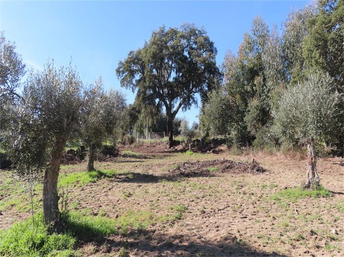 Image No.15-Property for sale