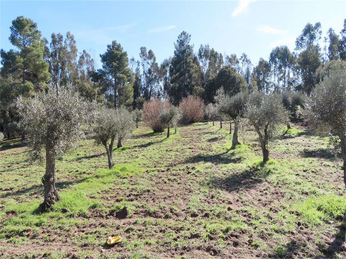 Image No.16-Property for sale