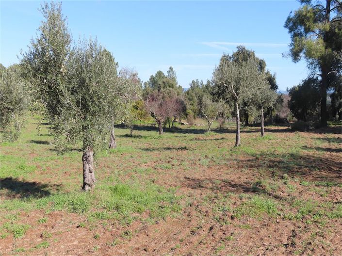 Image No.18-Property for sale