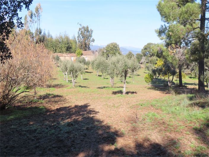 Image No.19-Property for sale