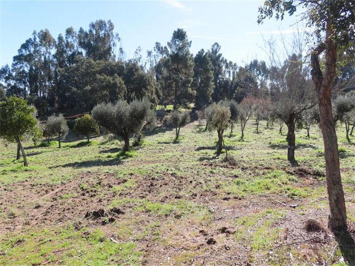 Image No.2-Property for sale