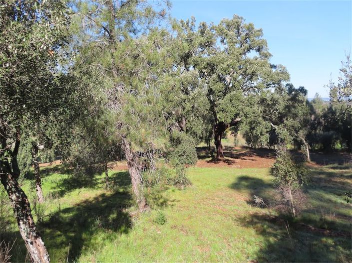 Image No.22-Property for sale