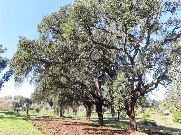 Image No.24-Property for sale