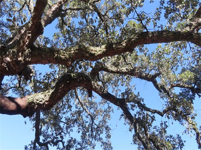 Image No.27-Property for sale