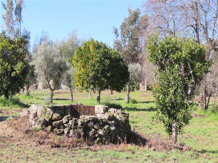 Image No.29-Property for sale