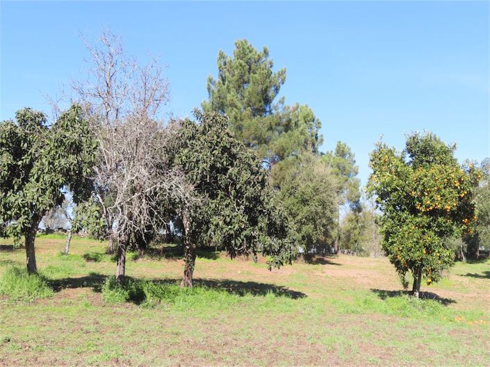 Image No.30-Property for sale