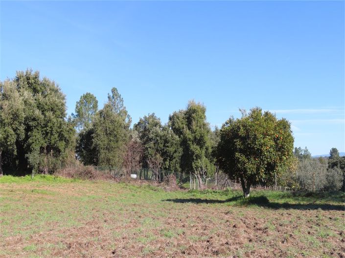 Image No.31-Property for sale