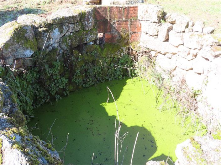 Image No.36-Property for sale