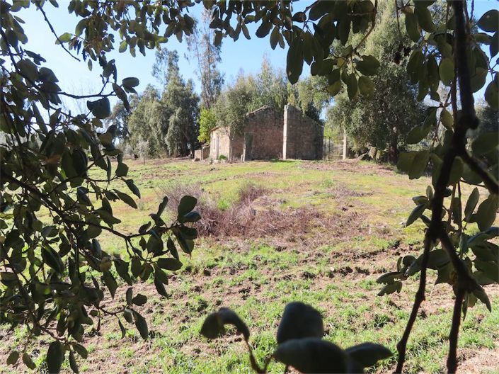 Image No.39-Property for sale