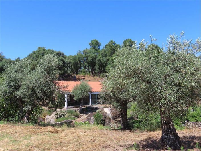 Image No.1-Property for sale