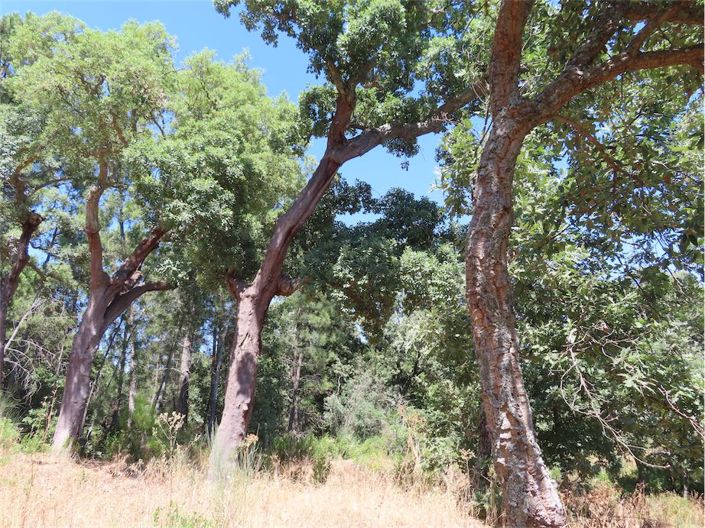 Image No.16-Property for sale