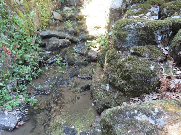 Image No.21-Property for sale