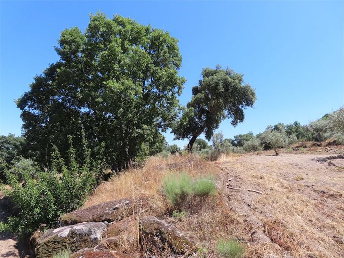 Image No.3-Property for sale