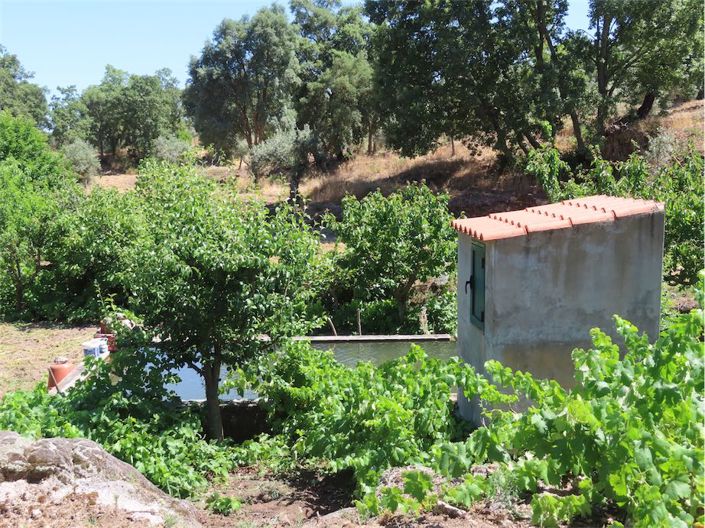 Image No.36-Property for sale