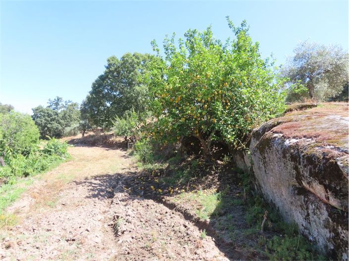 Image No.46-Property for sale