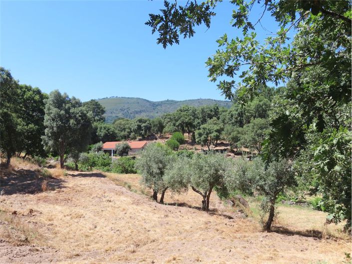 Image No.7-Property for sale