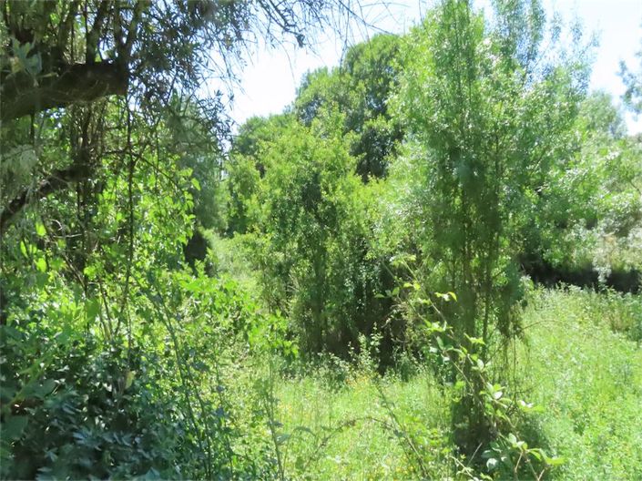 Image No.12-Property for sale